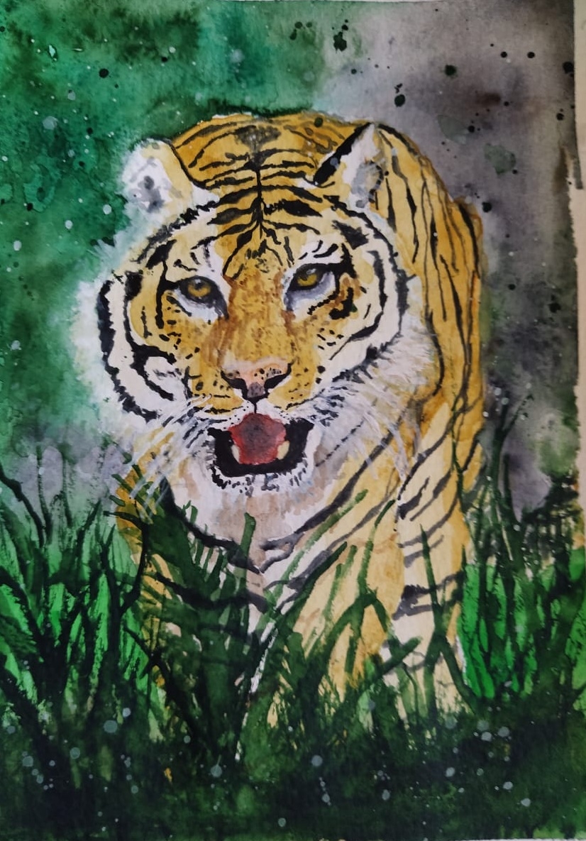 Tiger